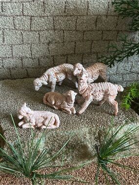 Fontanini nativity white sheep set of 5 Sheep Figurine Set - 5” scale #72539